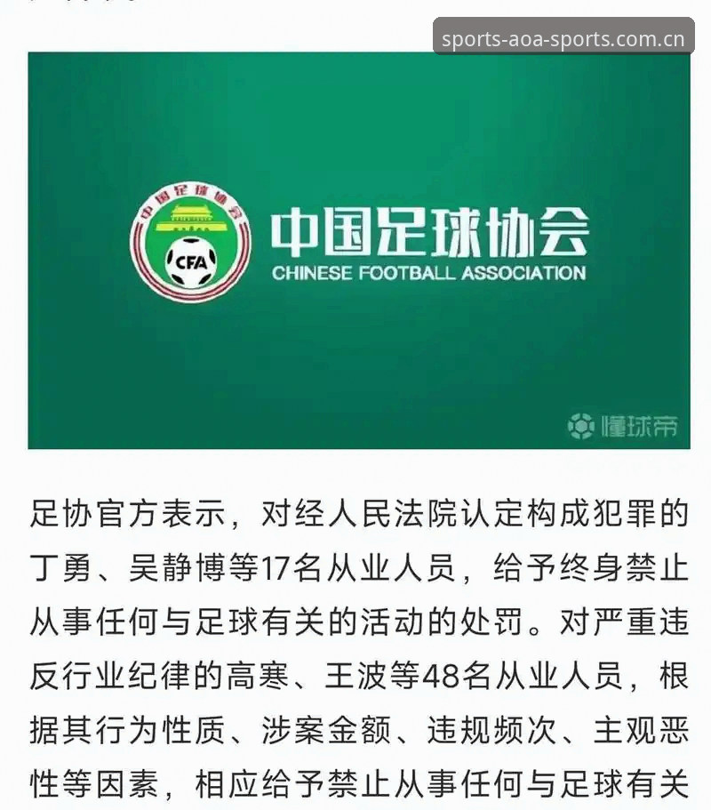 AOA体育电竞比赛 足协第三批禁足名单深度解读,65人涉案细节曝光